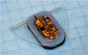 Từ trường giúp robot mềm di chuyển thông minh và bền hơn